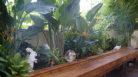 yl23455����(�й�)���޹�˾