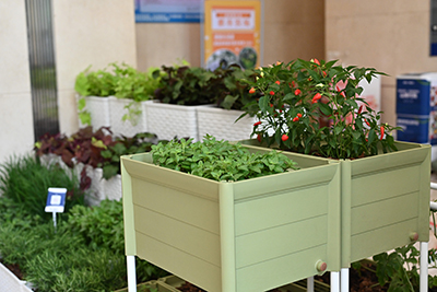 yl23455����(�й�)���޹�˾