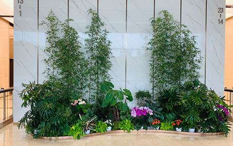 ֲ�����ޡ���Ϊ�������Ŀռ�ע�����������