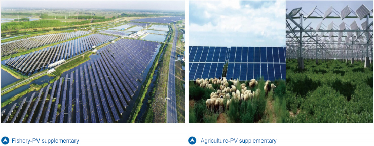 yl23455����(�й�)���޹�˾